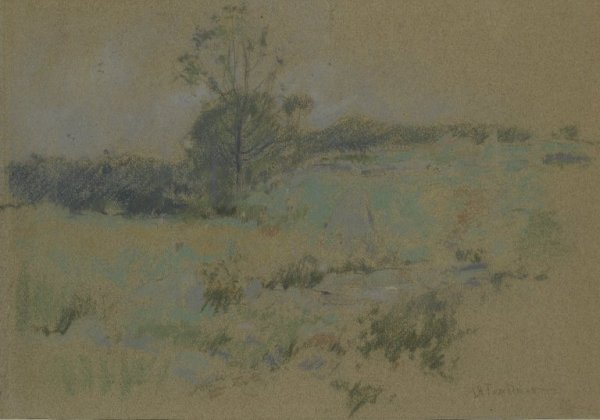 Study of a Landscape